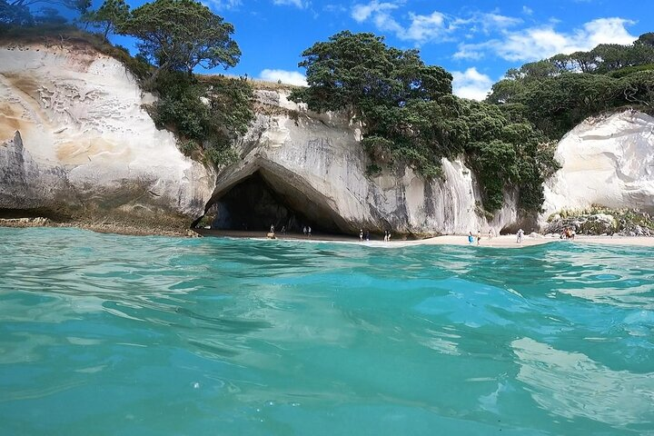 Cathedral Cove & Coromandel Peninsula Small-Group Day Tours  - Photo 1 of 17